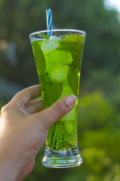 Green drink with ice and mint. Mint mojito tarragon