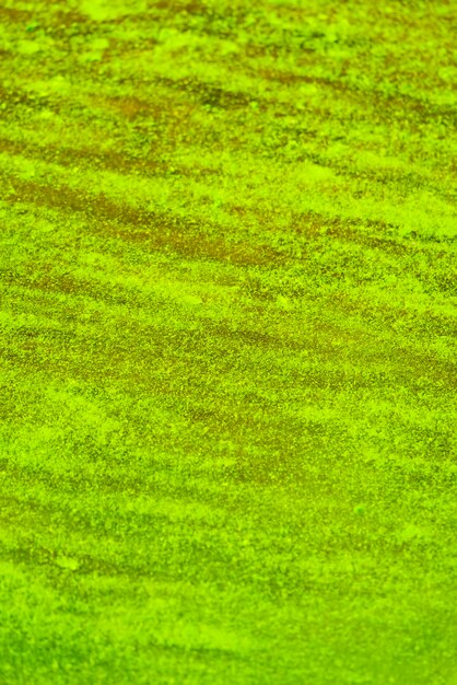 Green duckweed in water background