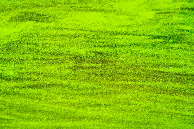 Green duckweed in water background