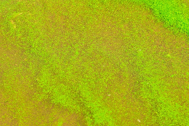 水中的綠色草