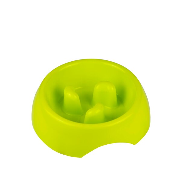 green duo  bowl feeder for dogs