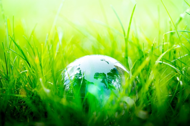 Green & eco environment, glass globe in the garden