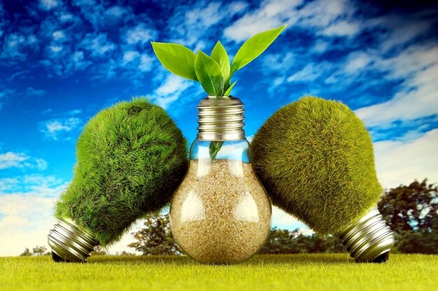Green eco light bulbs with grass plant growing inside the light bulb and blue sky background renewable energy concept