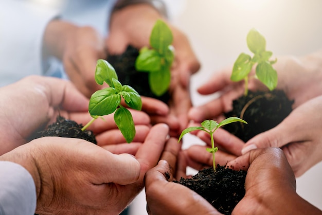 녹색 경제 지속 가능한 식물 손과 팀워크의 글로벌 성장 지구 미래 커뮤니티 및 환경 성공을 위한 희망 도움과 신뢰 자연 협력 및 지구 지원
