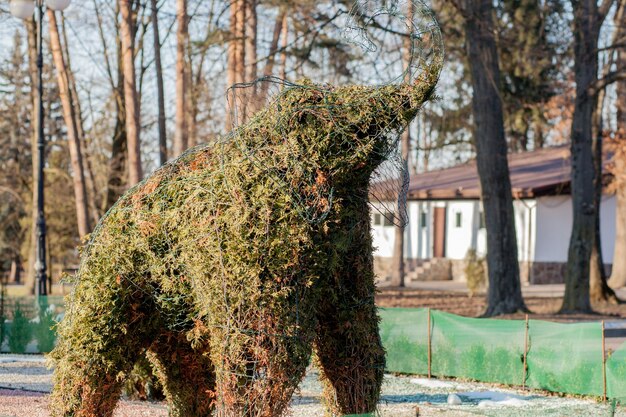 緑の植物の緑の象、象の形にトリミングされた茂み