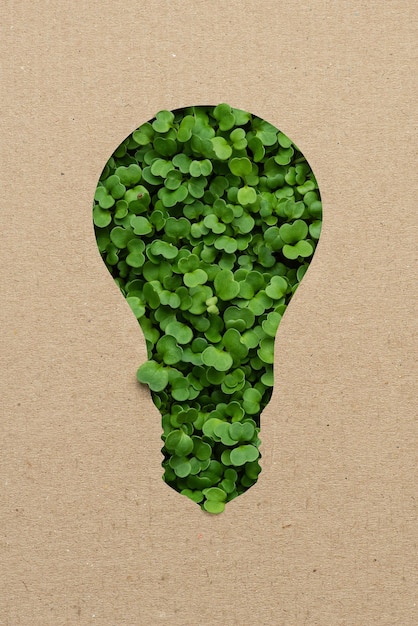 Green energy Caring for the environment Microgreen light bulb on a beige background