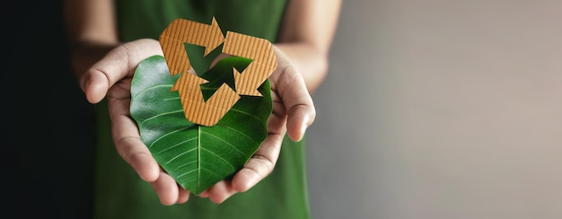 Green Energy ESG Renewable and Sustainable Resources Environmental and Ecology Care Concepts Close up of Hand holding Recycling Icon and a Green Leaf