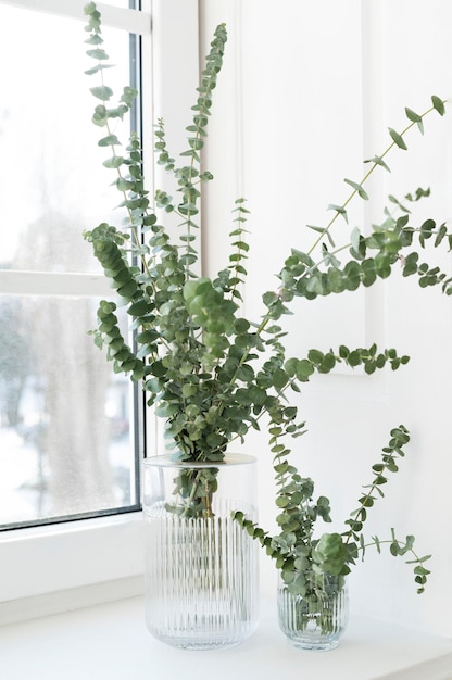 Green eucalyptus leaves in vase on white window sill Front view Place for text copy space