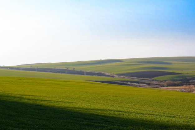 Зеленый фермерский пейзаж с облачными оттенками