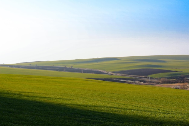 Green farm landscape with cloud shades