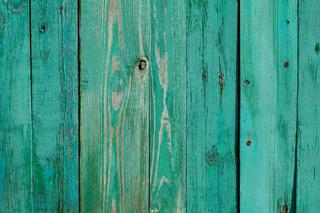 Green fence cracked paint on a tree