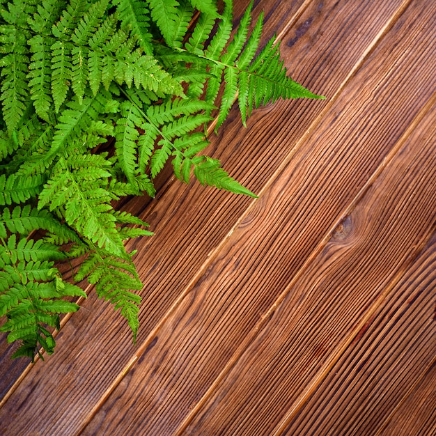 Green fern leaves on brown oak wood background with copy space