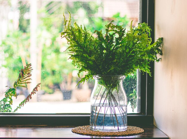 写真 ガラスの花瓶の緑のシダの葉は次のガラス窓を飾ります