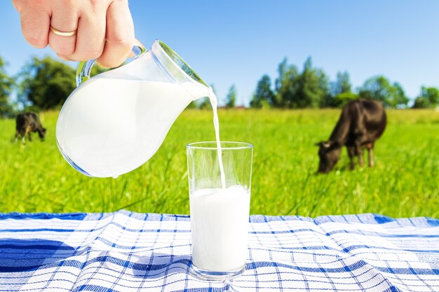 Green field and blue sky. Human hand pours milk from a jug into a glass. Healthy food.