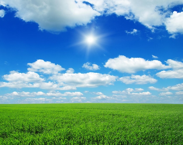 Green field blue sky and sun