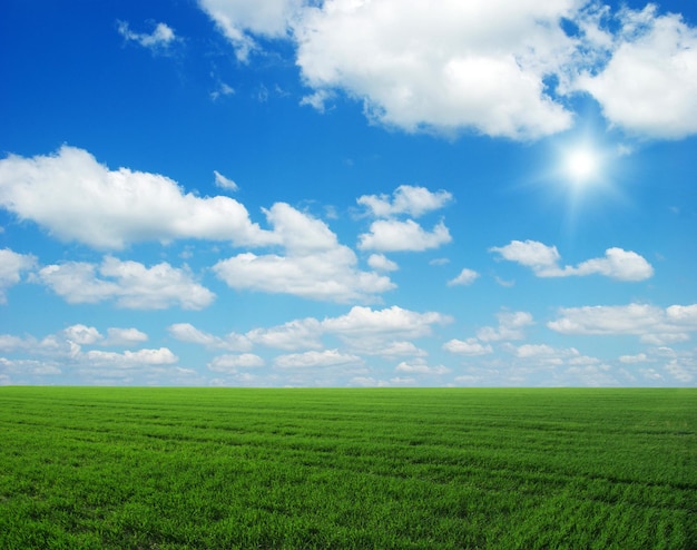 緑の野原の青い空と太陽