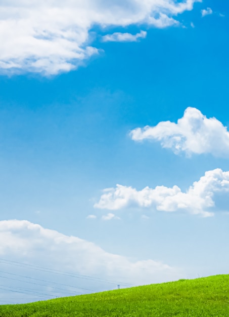 自然と環境の背景として雲の美しい牧草地と緑の野原と青い空