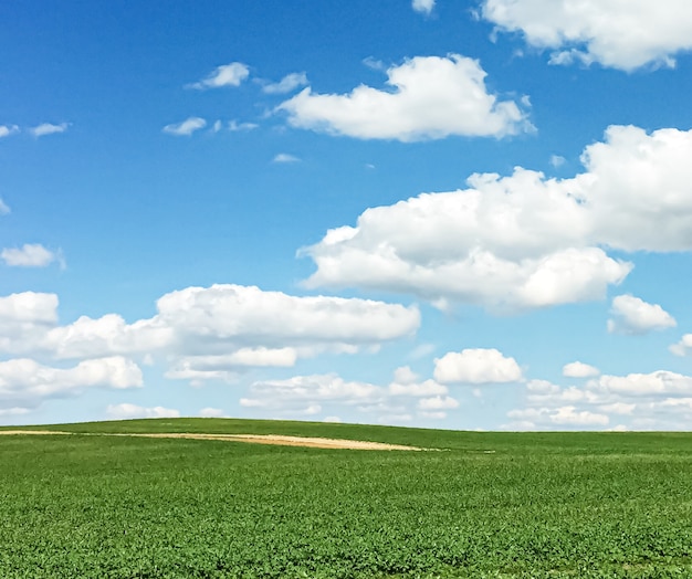 自然と環境の背景として雲の美しい牧草地と緑の野原と青い空