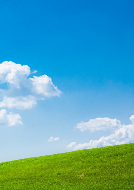 Green field and blue sky with clouds beautiful meadow as nature and environmental background