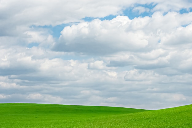 Green field and blue sky with clouds beautiful meadow as nature and environmental background