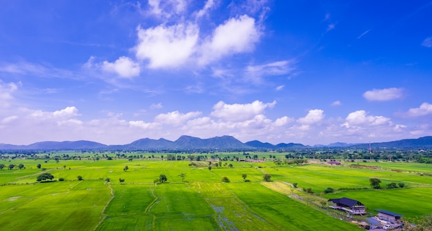 Green field and blue sky with mountain background