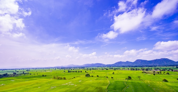 Campo verde e cielo blu con sfondo di montagna