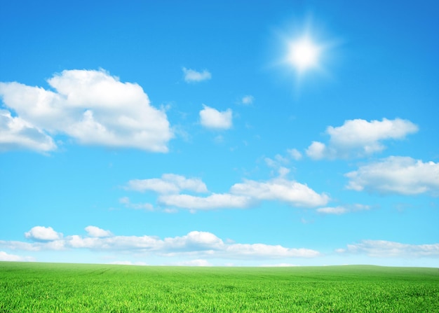 Green field under blue sky