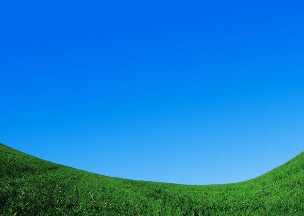 Photo green field and blue sky