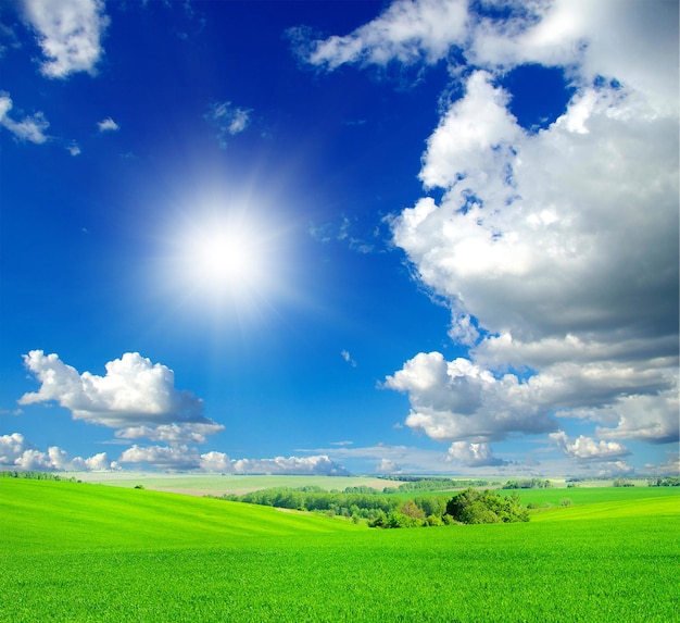 Green field and blue sky