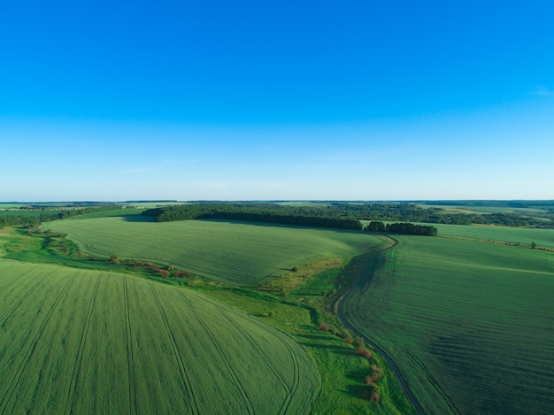 Green field and blue sky