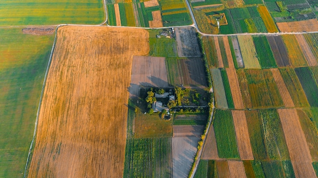 The green field is at sunset shot with the drone