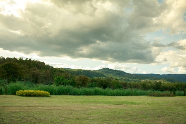 Foto terreno verde campo per lo sviluppo.