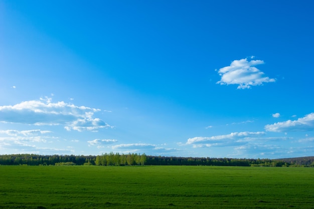 Green field landscape