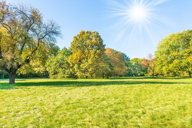 Photo green field lawn