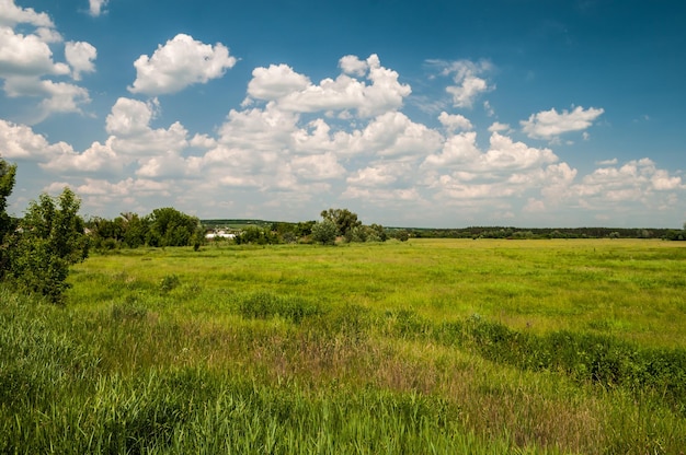 Green Field met een prachtige bewolkte lucht