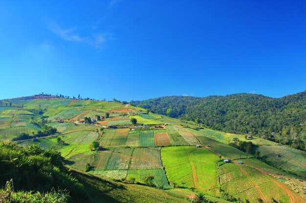 Green field on mountain