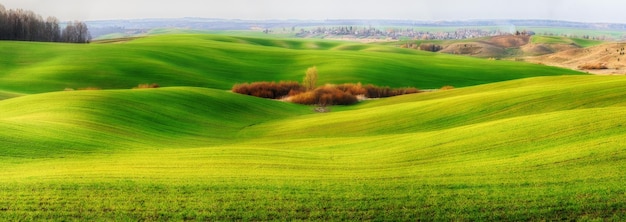 Foto terreno edificabile. paesaggio primaverile