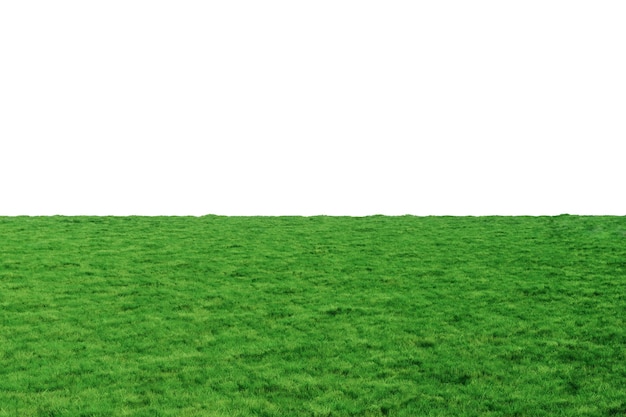 Foto campo verde che si estende all'orizzonte su uno sfondo bianco prato verde 3d rendering spazio di copia