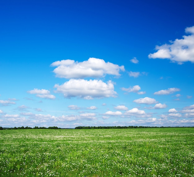 Photo green field valley