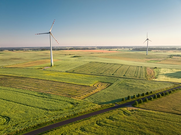 Green field and wind turbines at sunrise aerial view