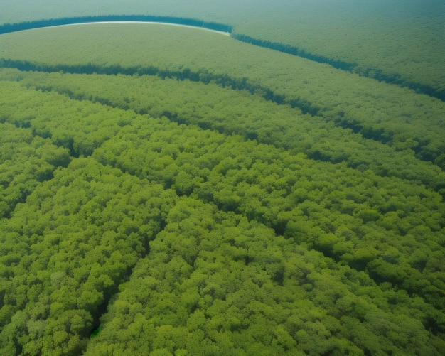 A green field with a blue line in the middle