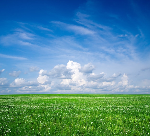 Photo green field with blue sky