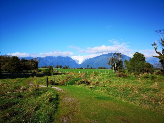 Photo green field with distant mountains fox glacier new zealand