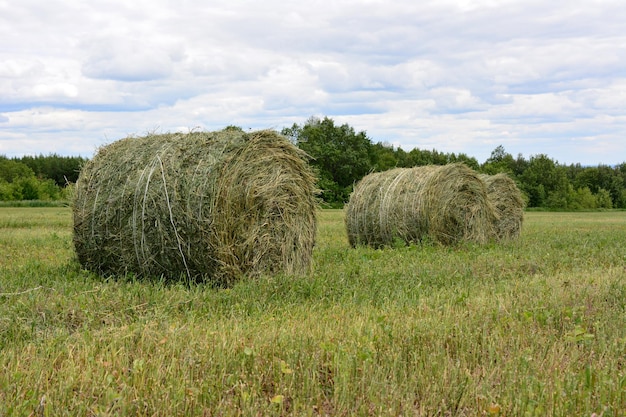 a green field with a few hay bales on it close up