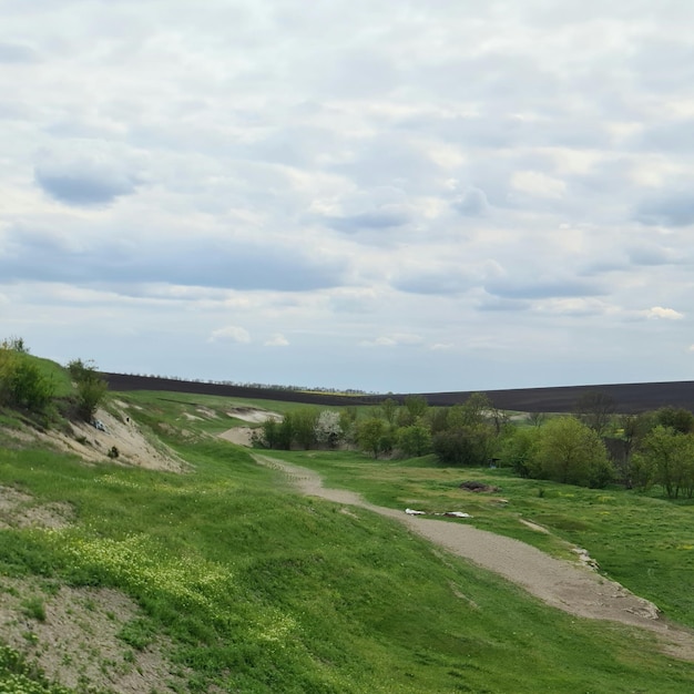 A green field with a hill in the background and a cloudy sky.