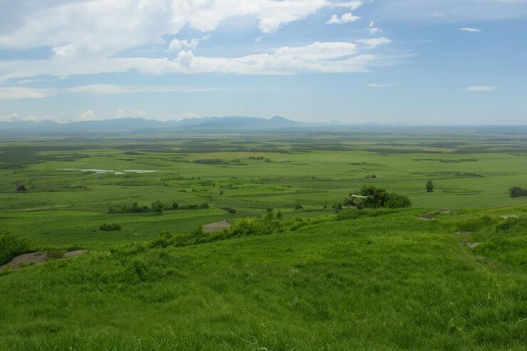 a green field with a mountain in the background and a small white cloud in the sky