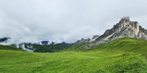 A green field with mountains in the background