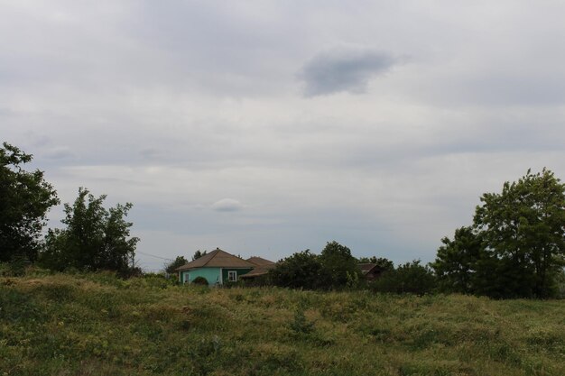 A green field with trees and houses