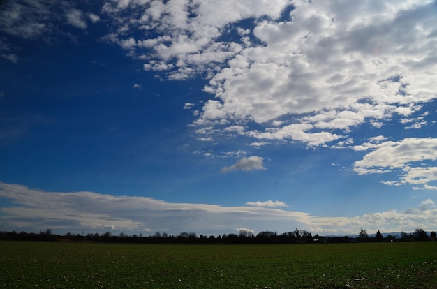 Green field with white clouds