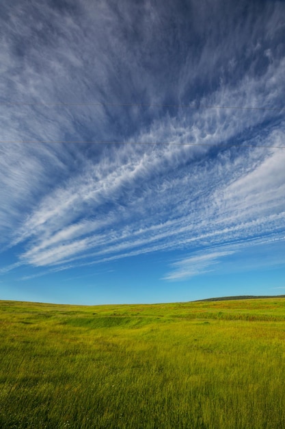 Photo green field